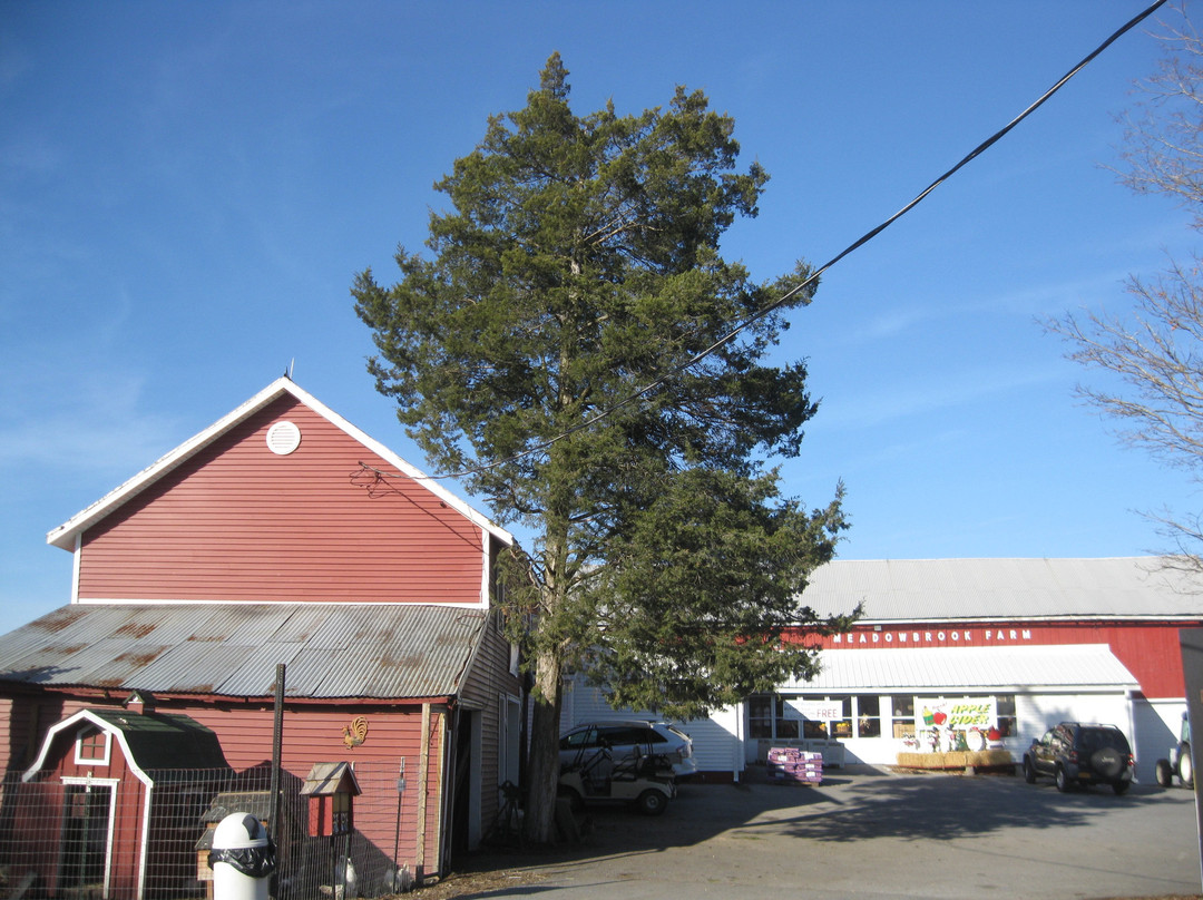Meadowbrook Farm Market-Wappingers Falls必去景点