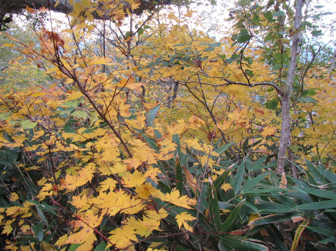 Mt. Kamuishiriyama-当别町必去景点