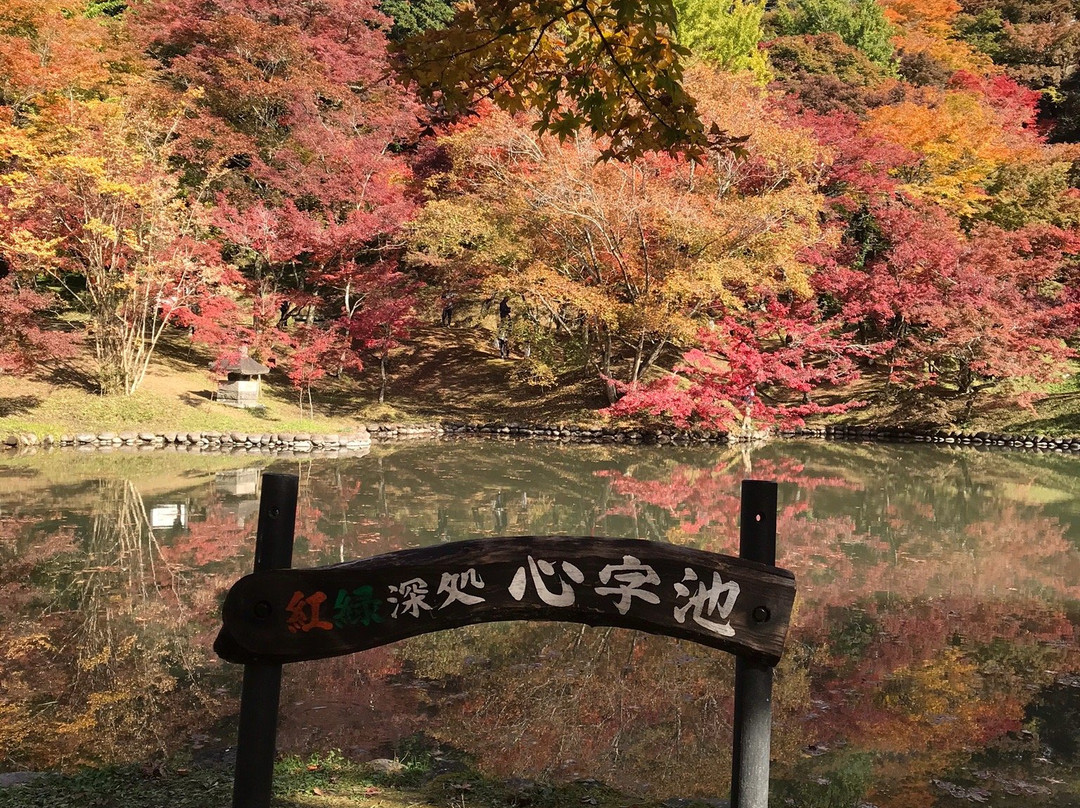 Yujaku Park-丰后大野市必去景点