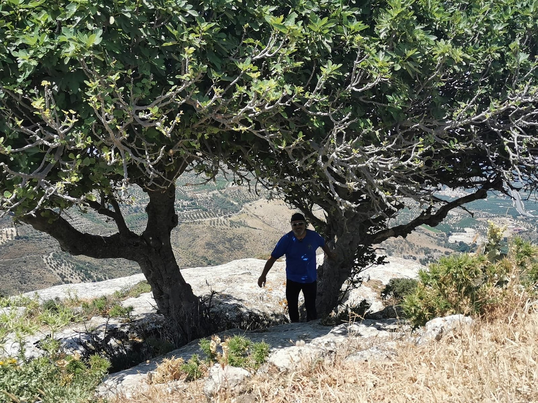 Adams E-Bikes Crete-Sivas必去景点