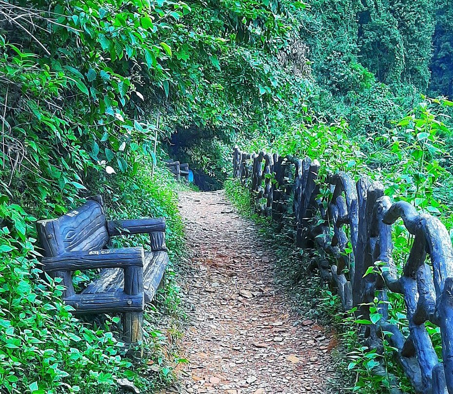 Vibhooti Falls景点图片
