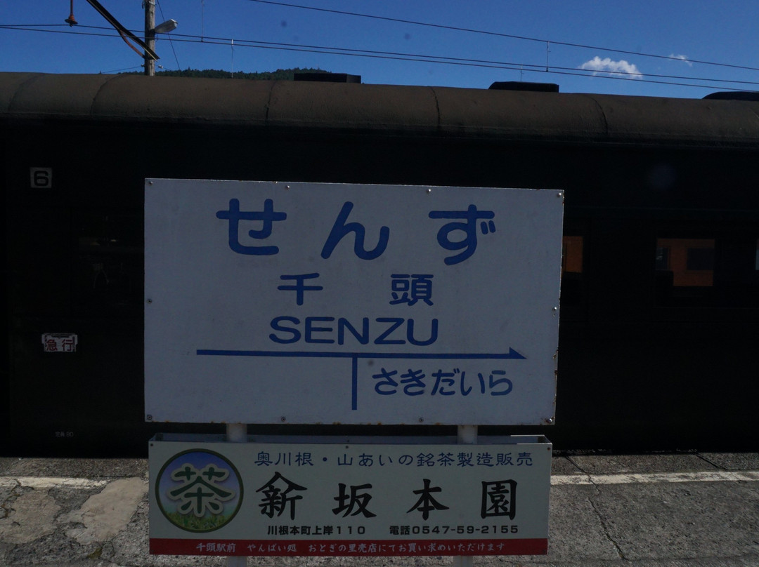 Senzu Station景点图片