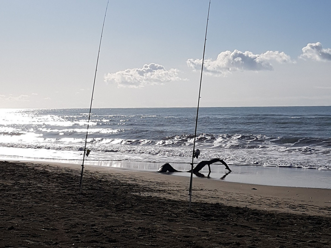 Oasi Naturista Capocotta-Lido di Ostia必去景点