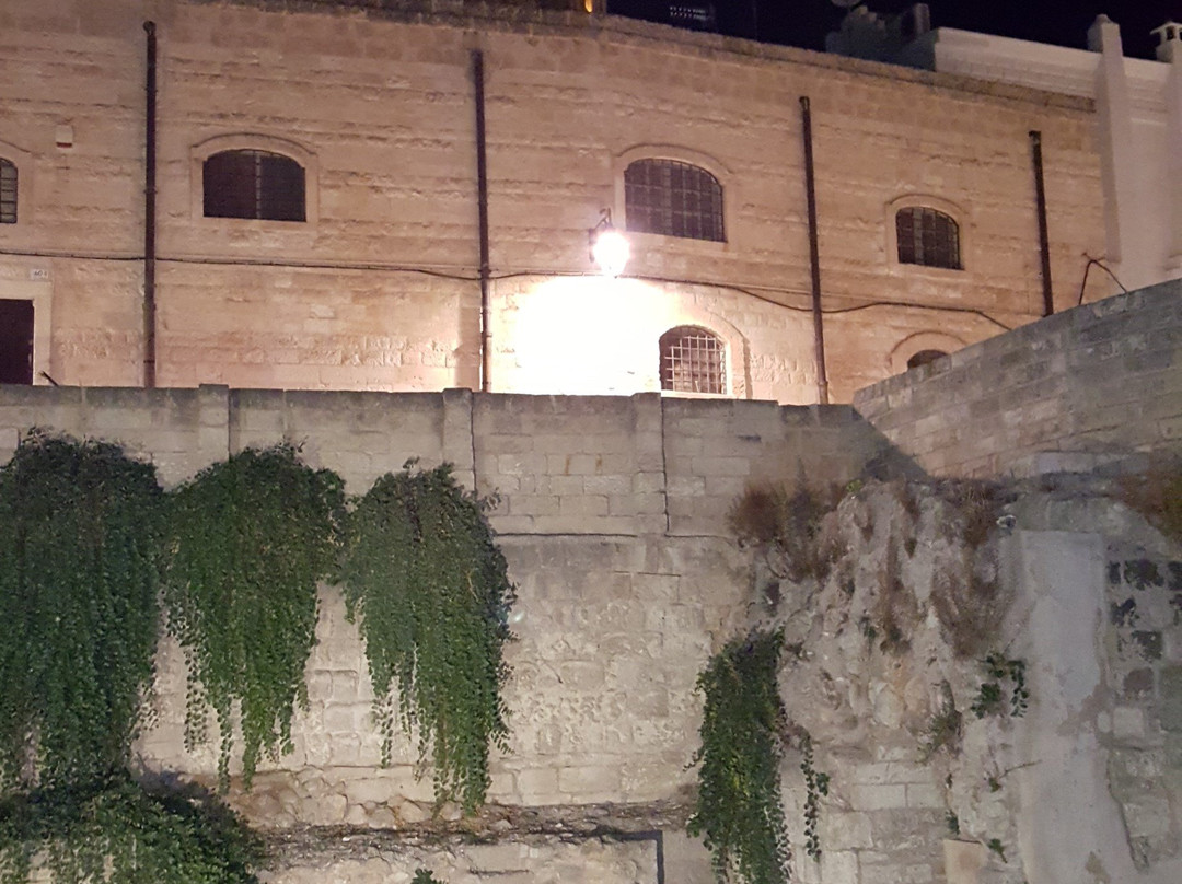 Basilica Cattedrale Maria Santissima della Madia-莫诺波利必去景点