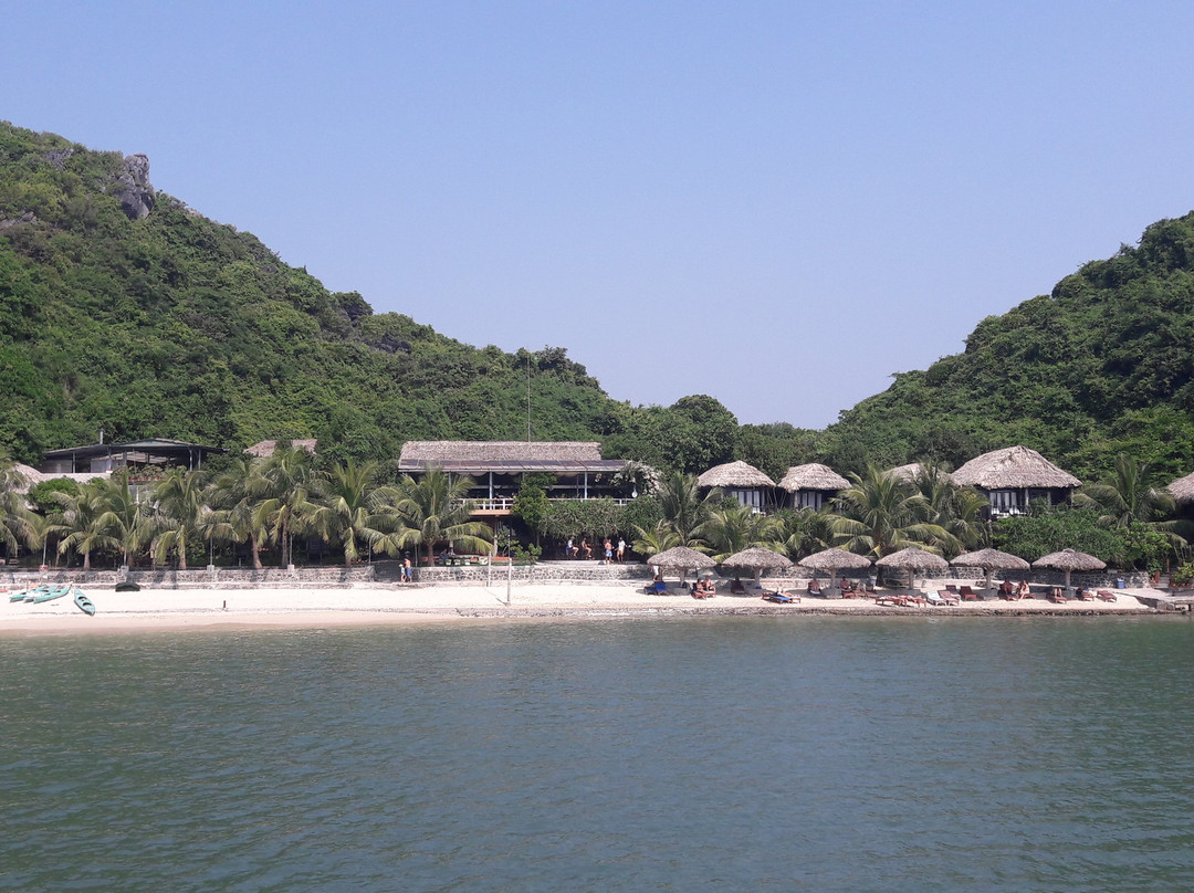 猴子岛度假村主图