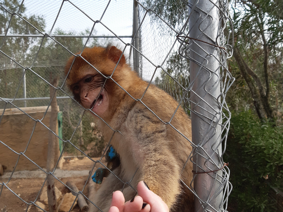 Friguia Park-哈玛麦德必去景点