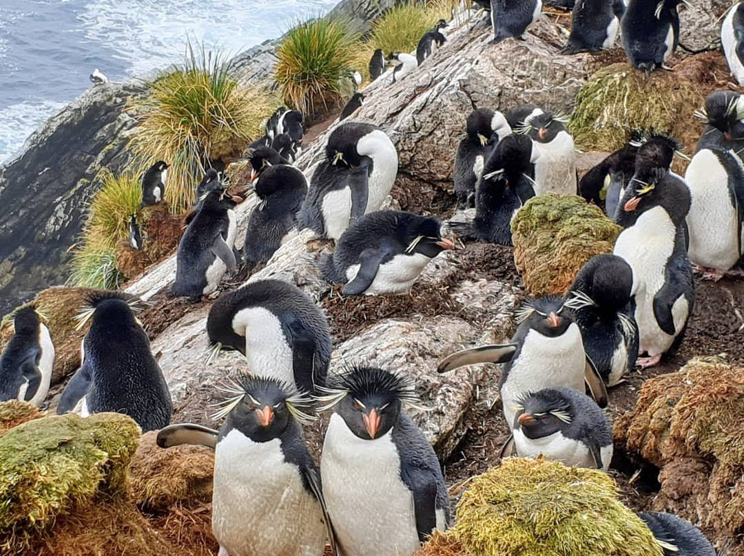 Kidney Island-Stanley必去景点