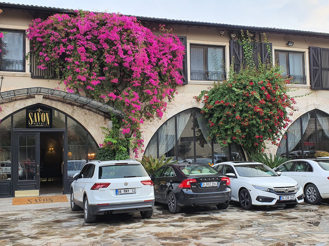 Savon Hotel主图