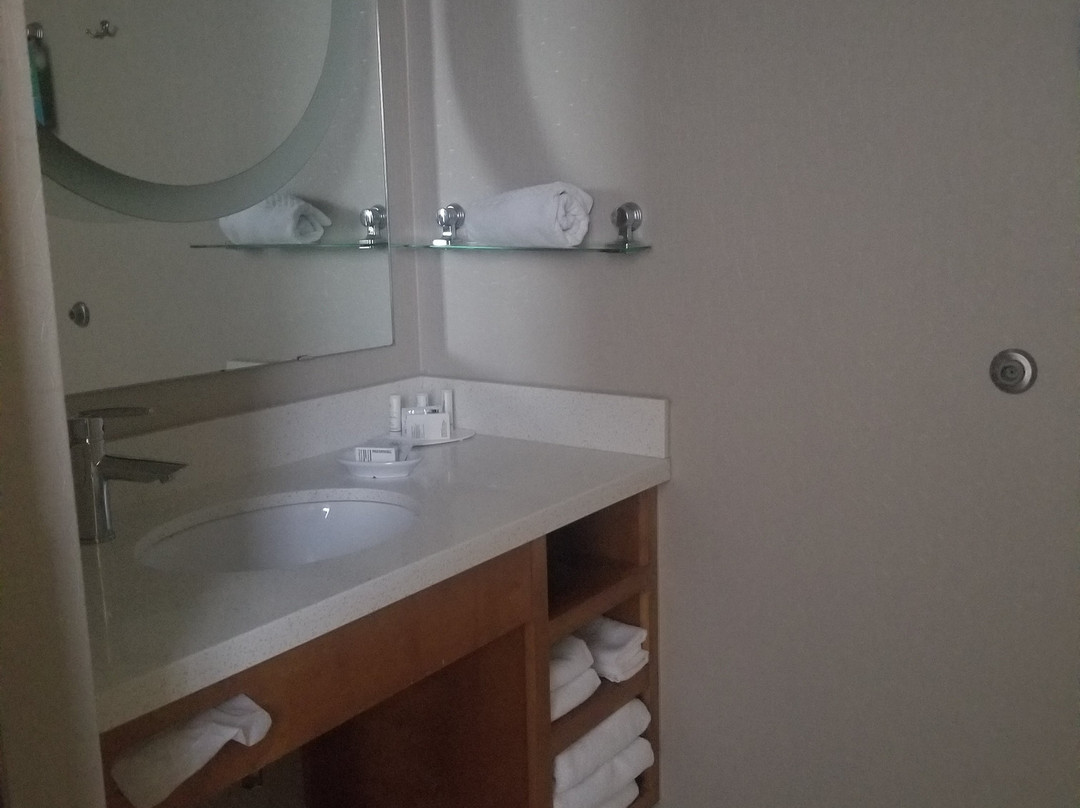 SpringHill Suites by Marriott Macon主图