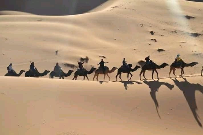 SAHARA ROYAL-扎古拉必去景点