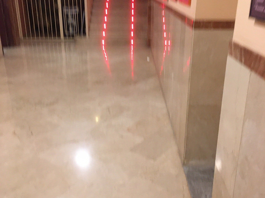Gran Teatro de Elche景点图片