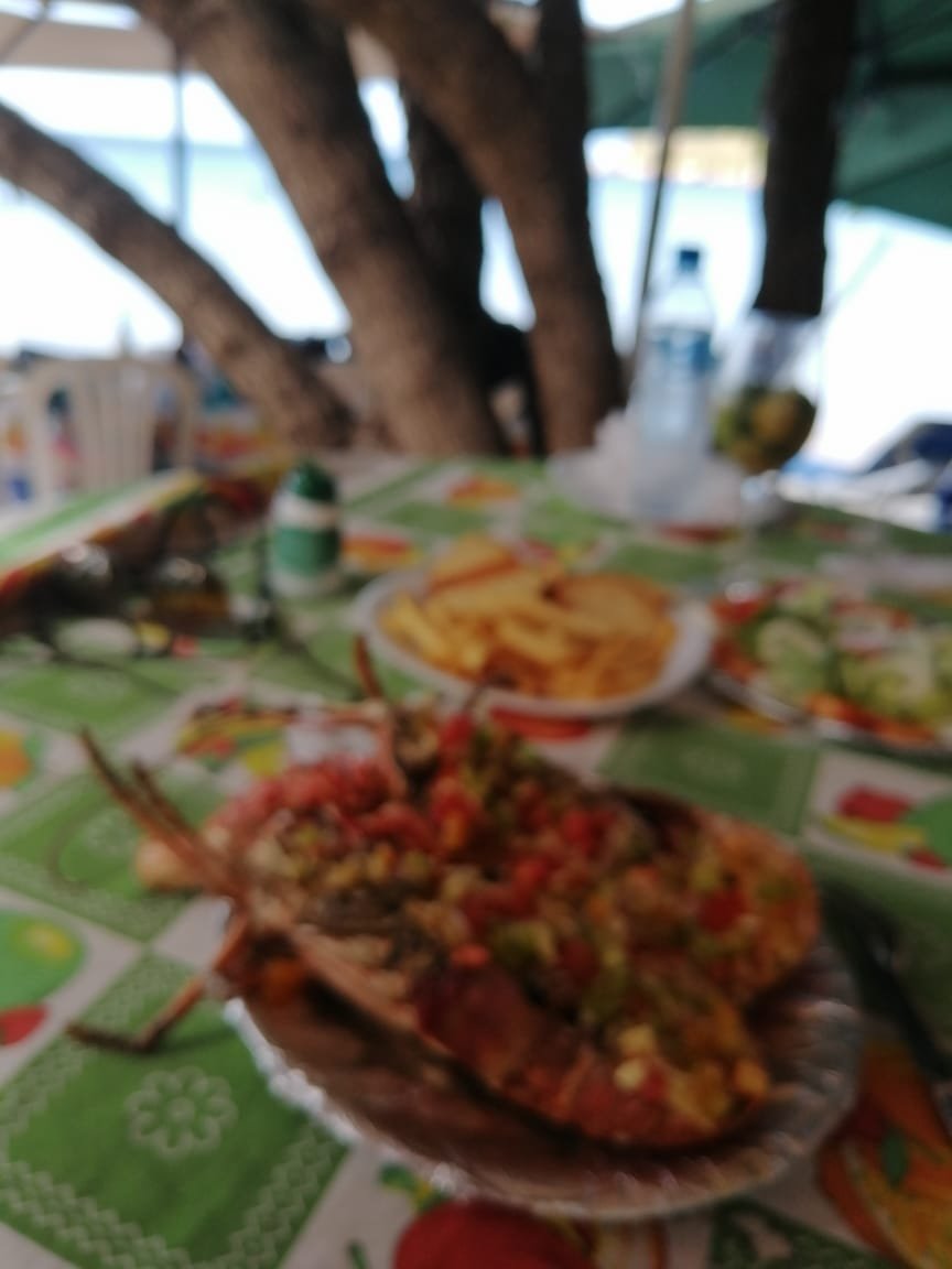 Hotel La Polilla Bar and Restaurant-泳池