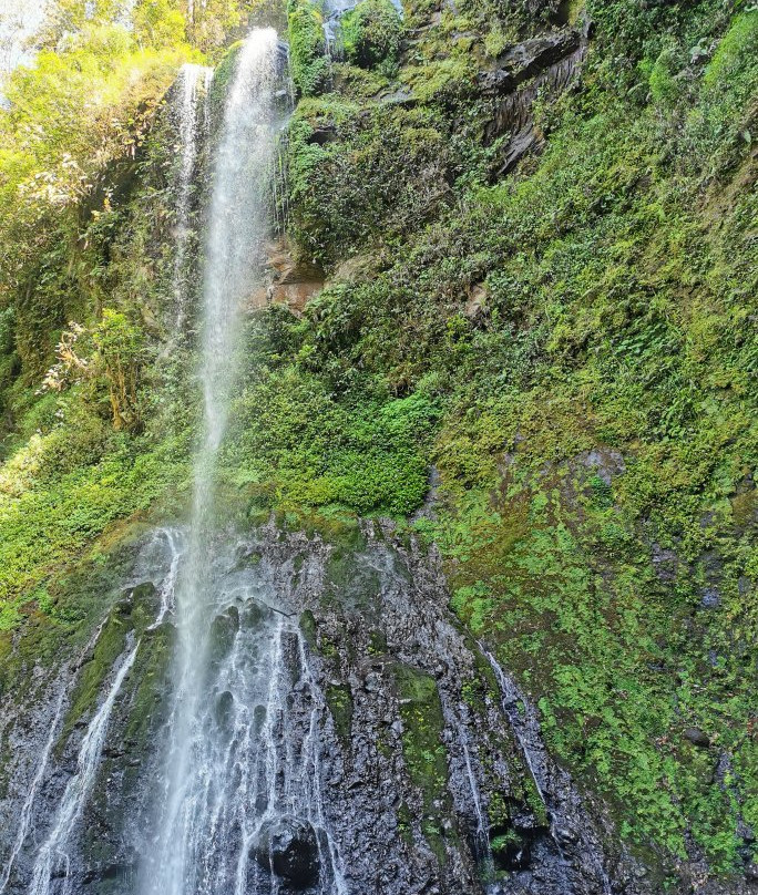 Wild Sumatra Tours-明古鲁必去景点