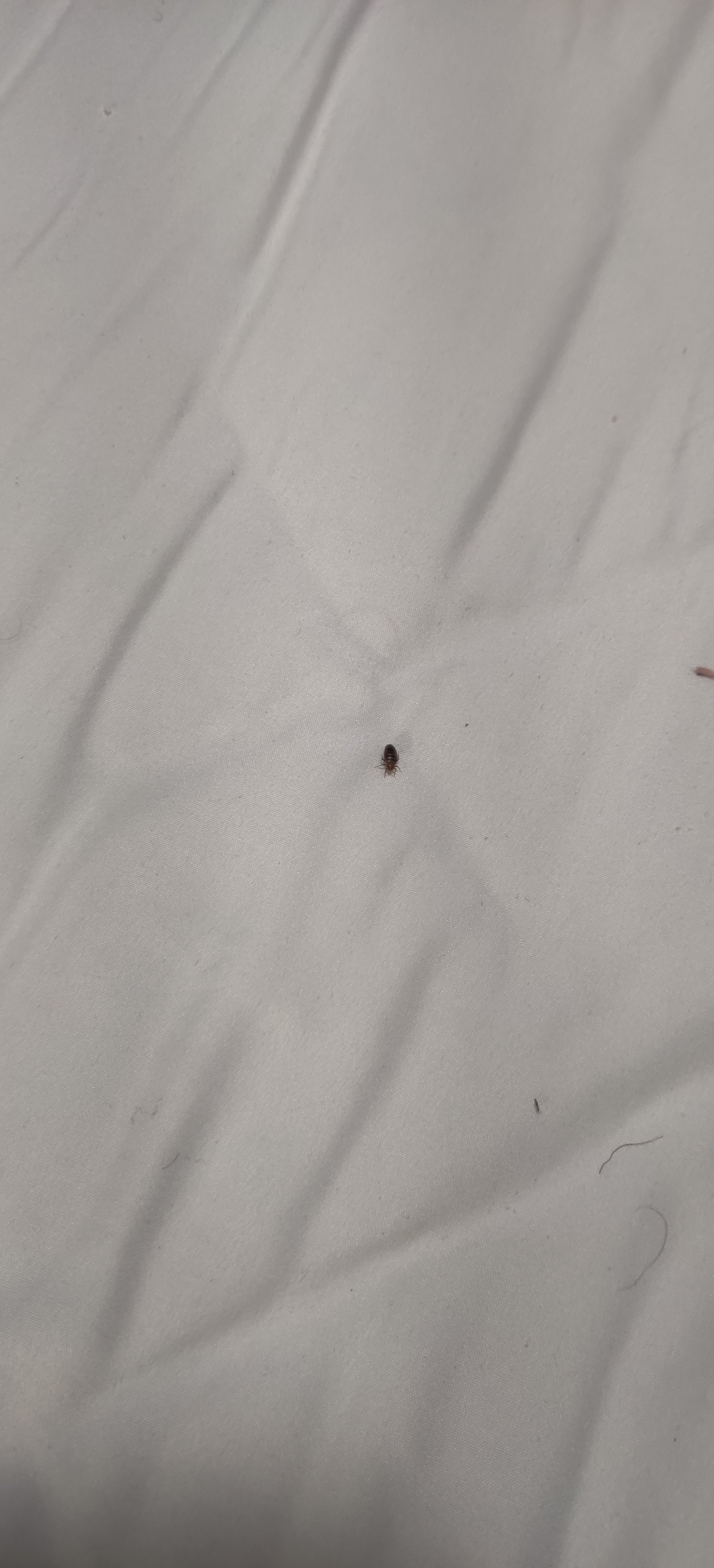 Quality Inn Marble Falls-portrait