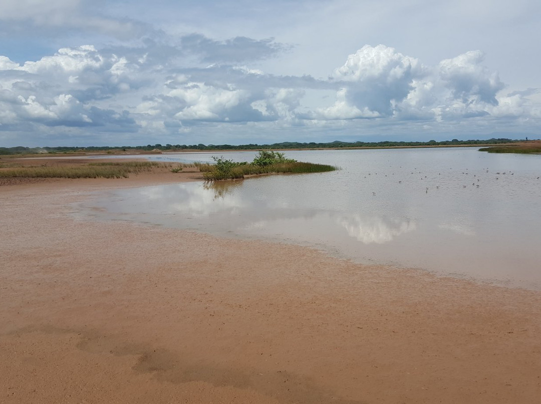 Sarigua National Park景点图片