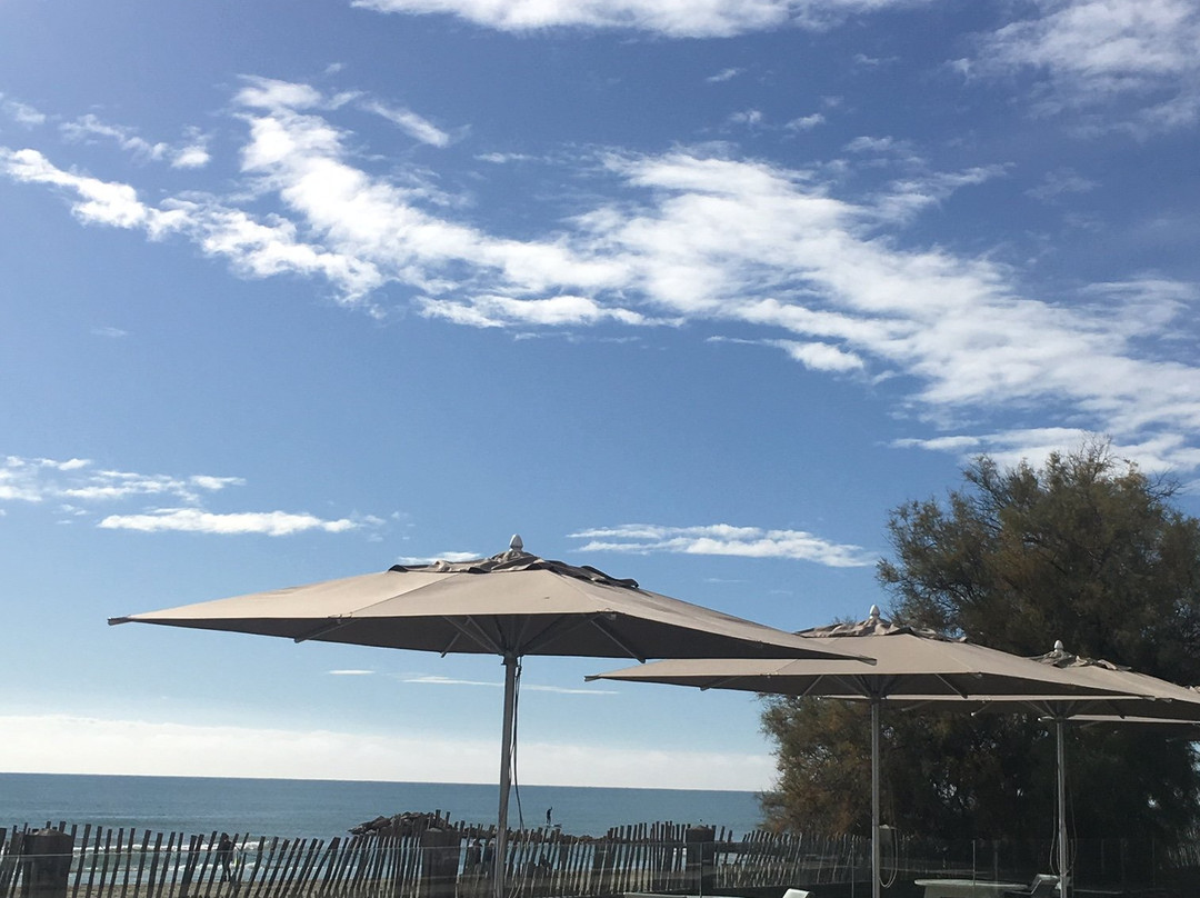 Plage Palace主图