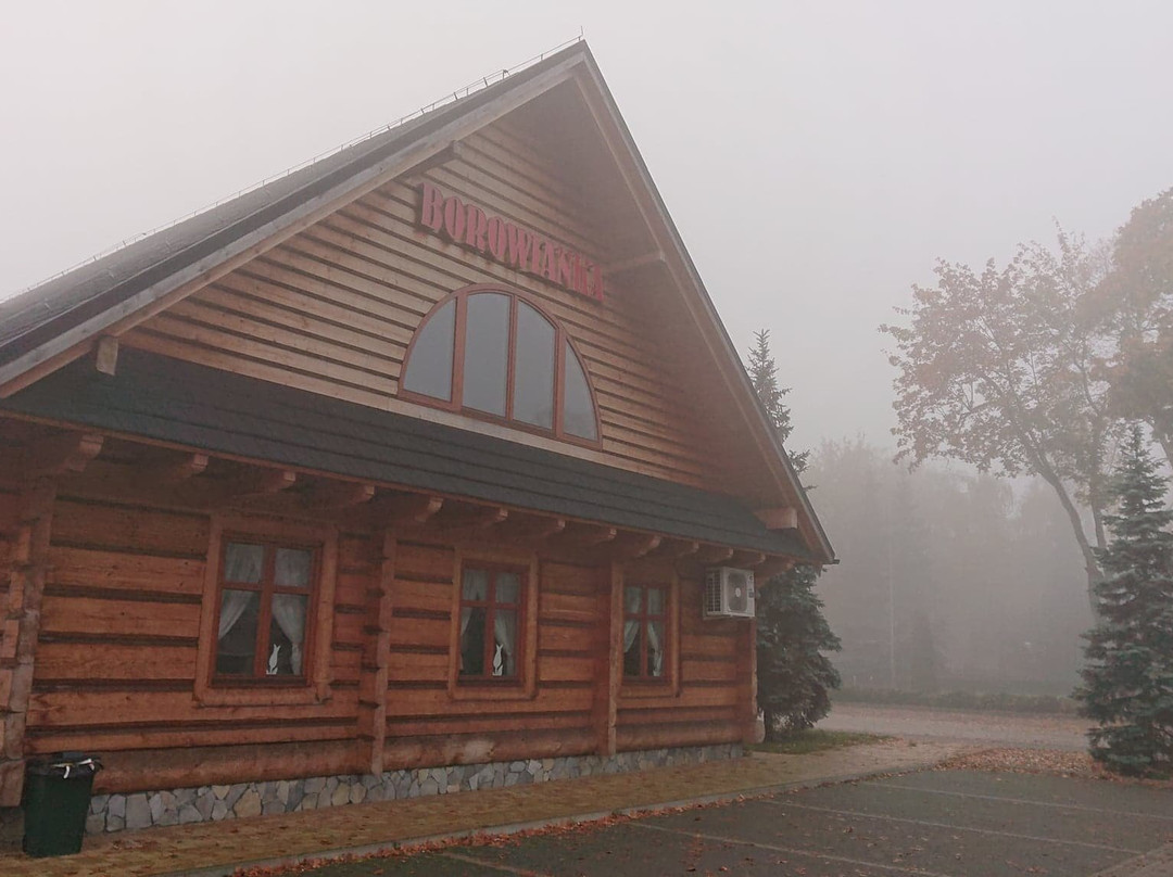 Hotel Restaurant Borowianka主图