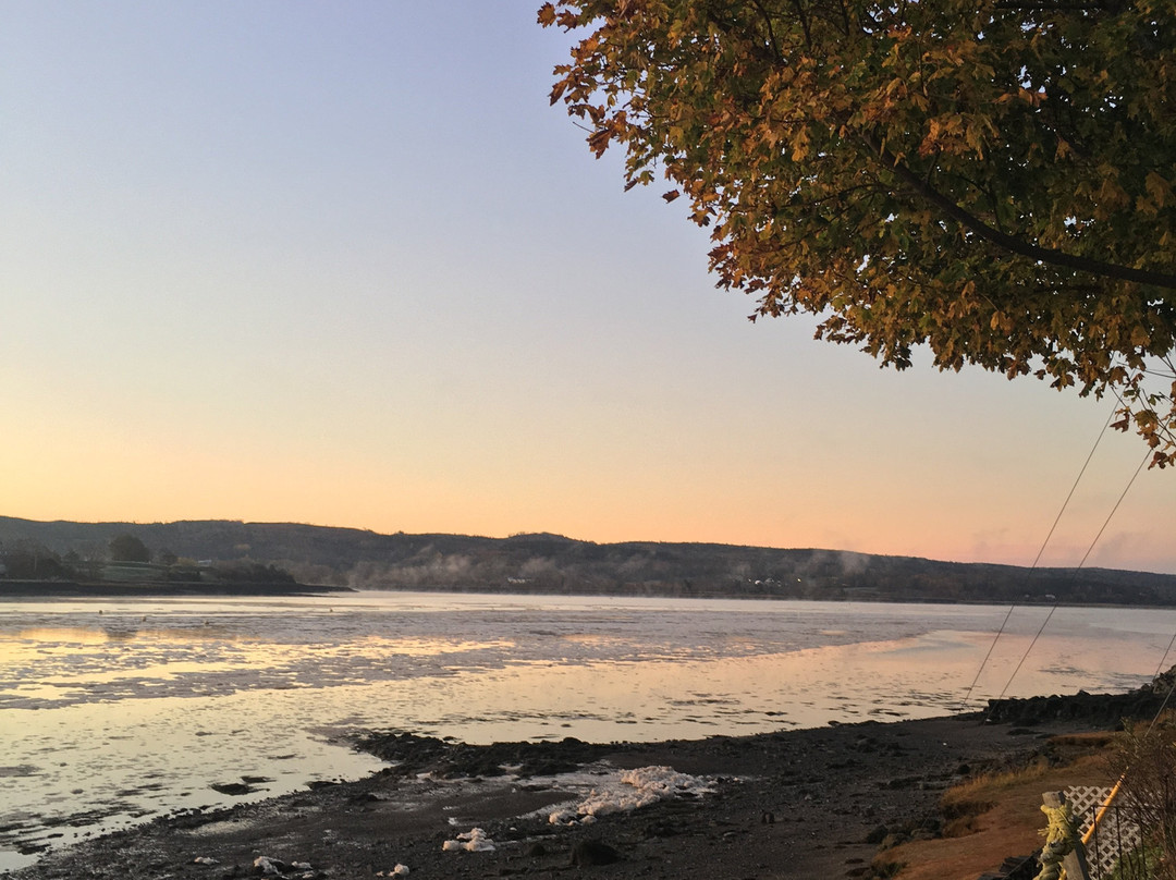 Grand Oak Manor Bed & Breakfast主图