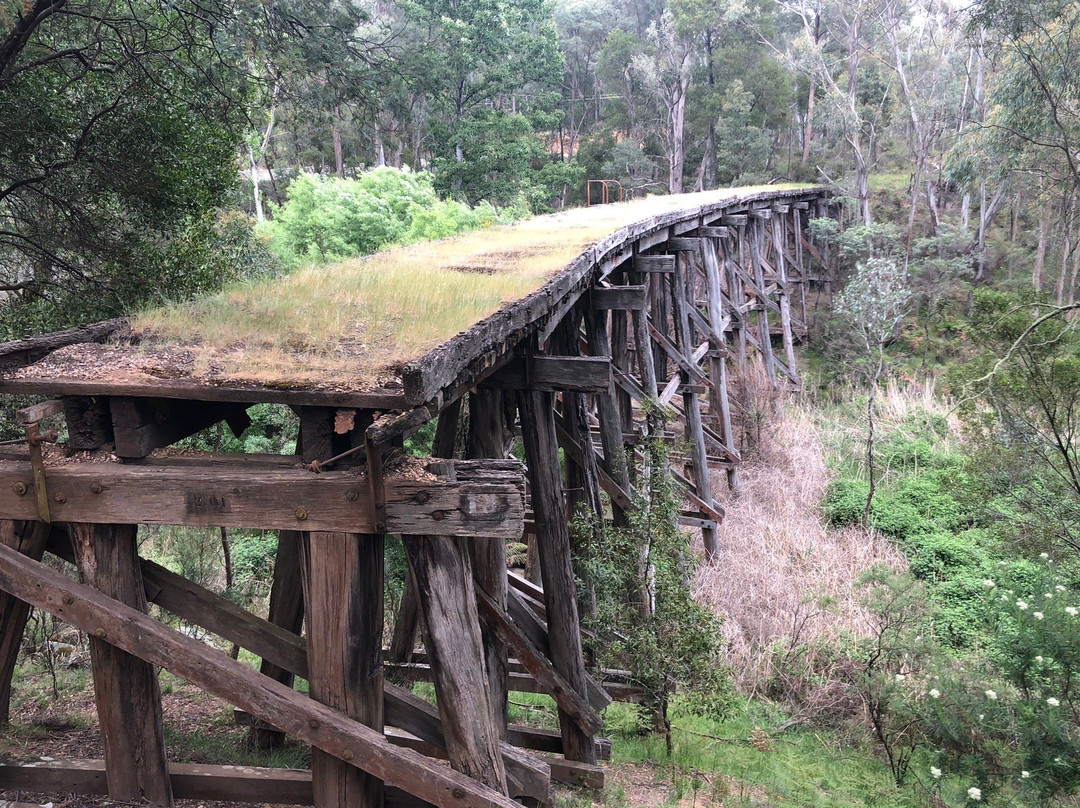 Koetong Trestle Bridge-Koetong必去景点
