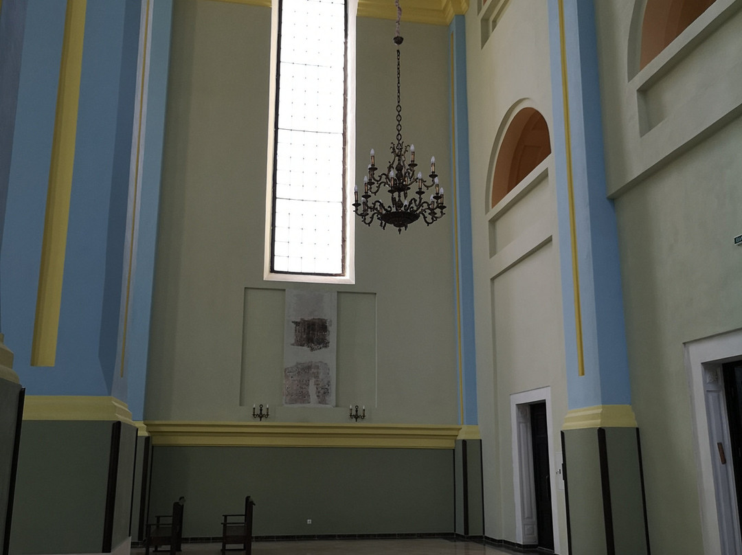 Drohobych Choral Synagogue景点图片