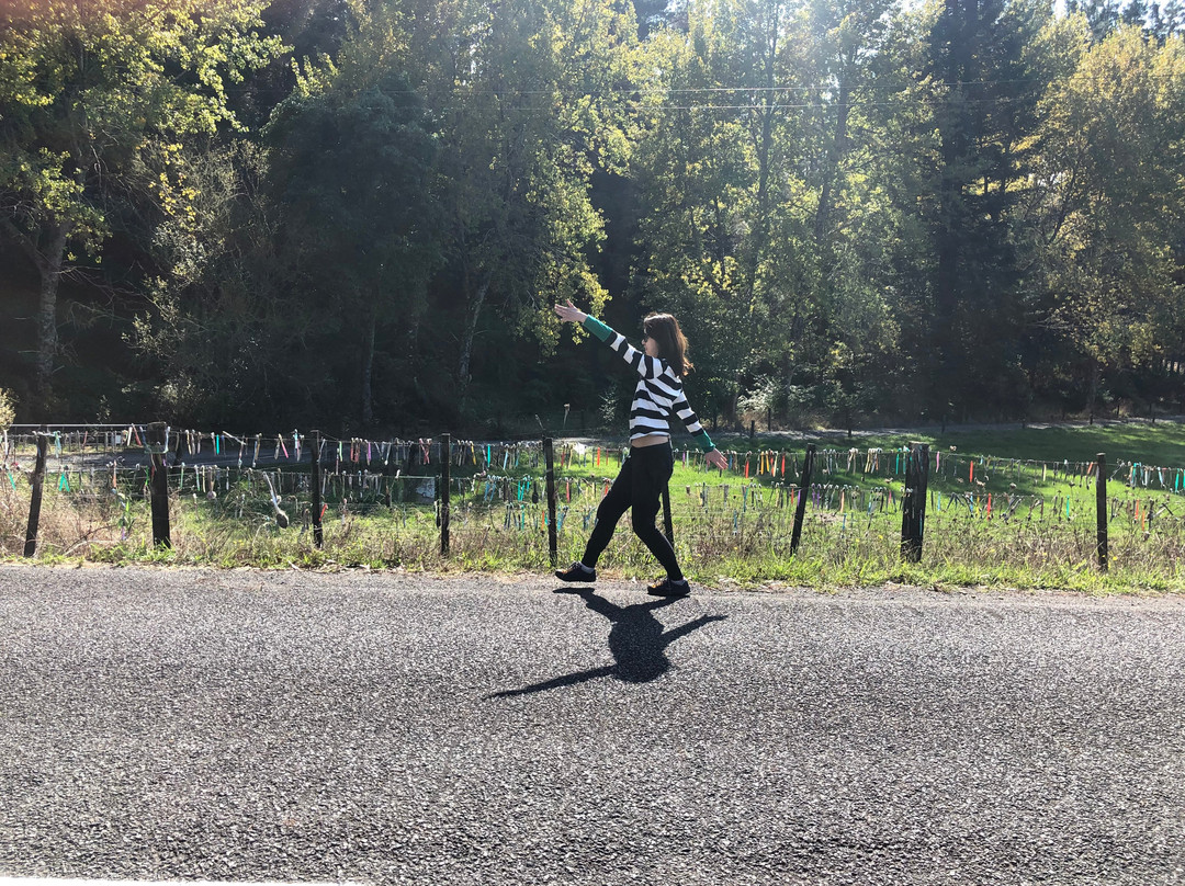 The Toothbrush Fence-汉密尔顿必去景点