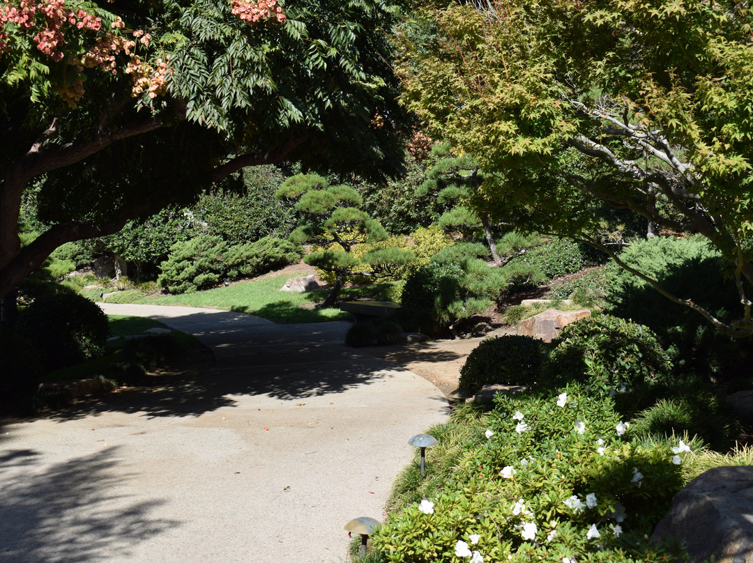 Earl Burns Miller Japanese Garden景点图片
