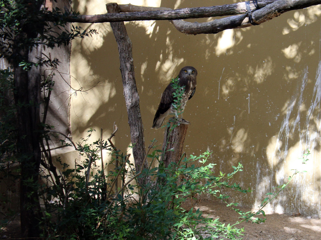 Zoobotanico Jerez景点图片