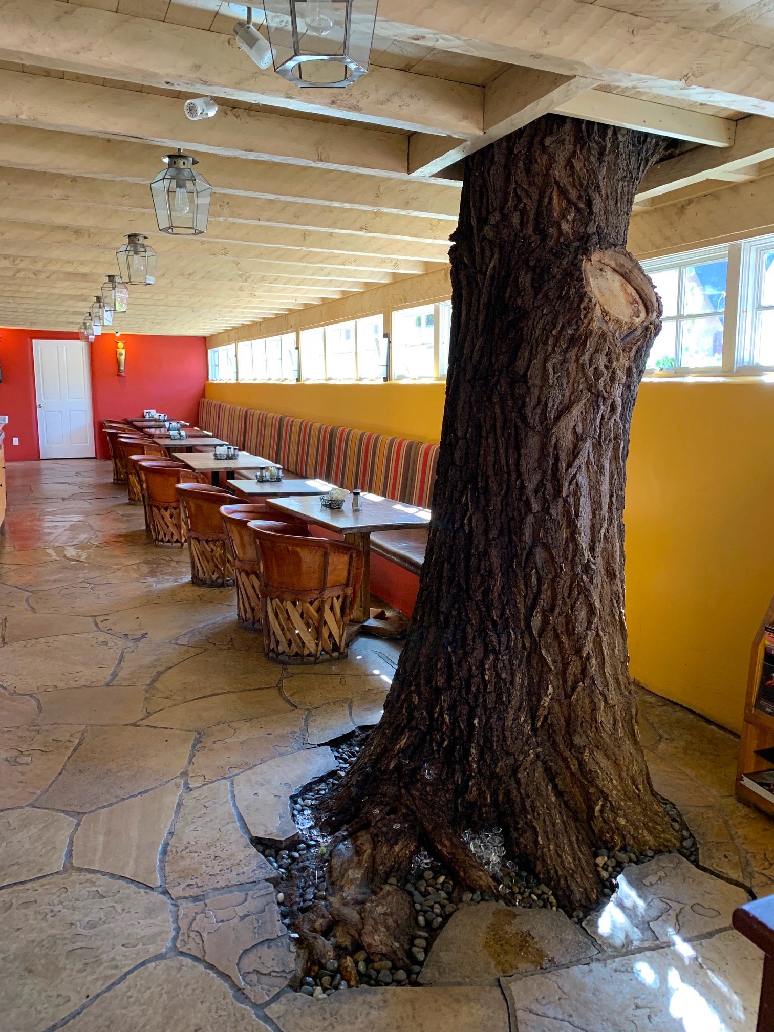 Las Palomas-餐饮