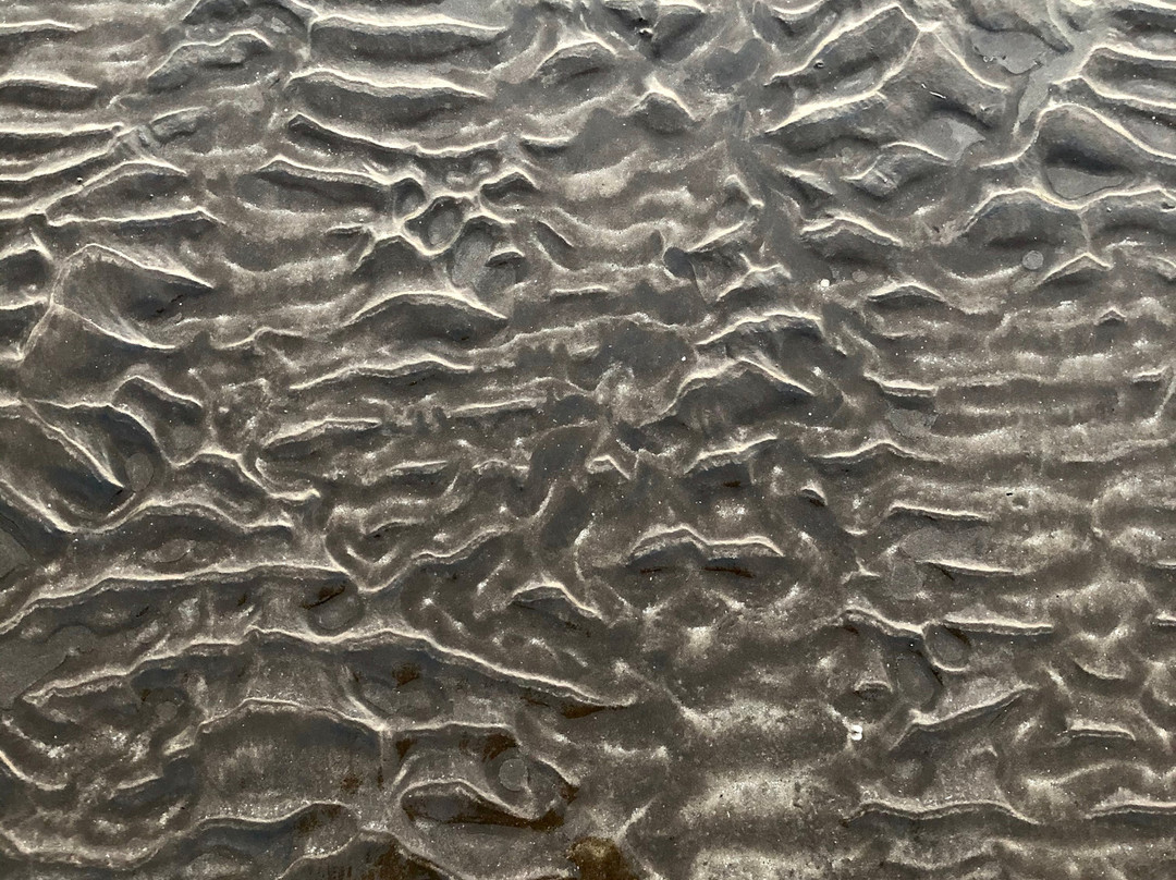 Golden Swan Beach Resort主图