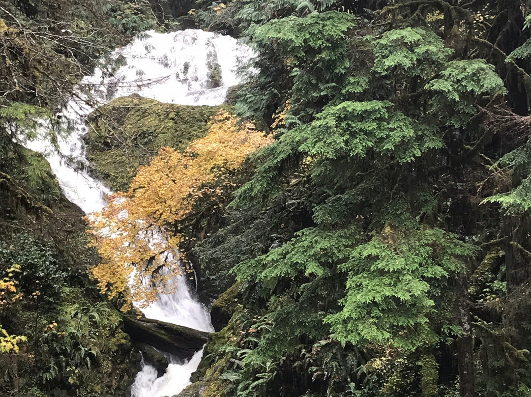 Merriman Falls景点图片