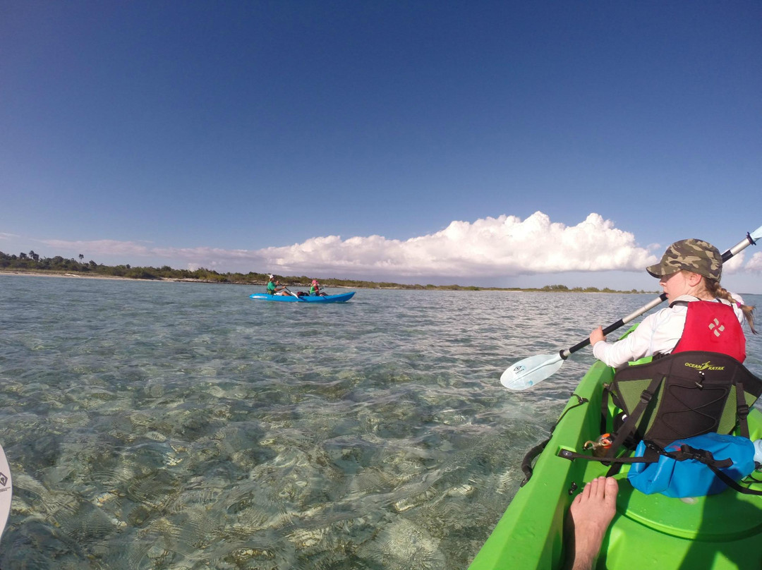 SURFside Ocean Academy