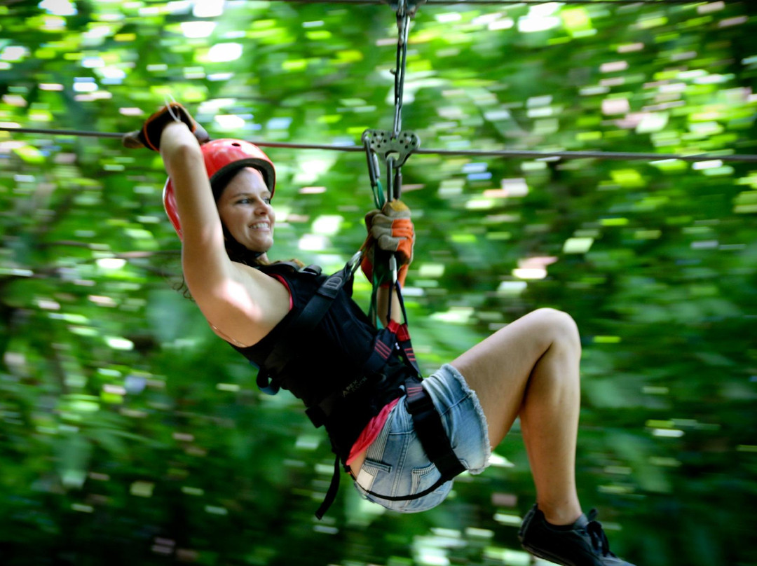 Canopy Adventure Zip Line Tours景点图片