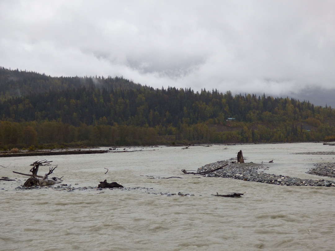 Chilkat Bald Eagle Preserve-海恩斯必去景点