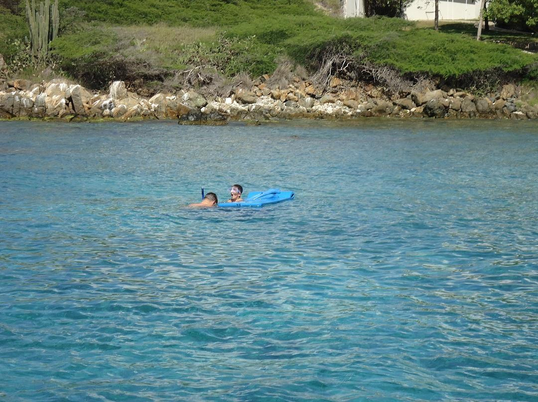 Discovery Snorkeling and Glassbottom Cruise景点图片