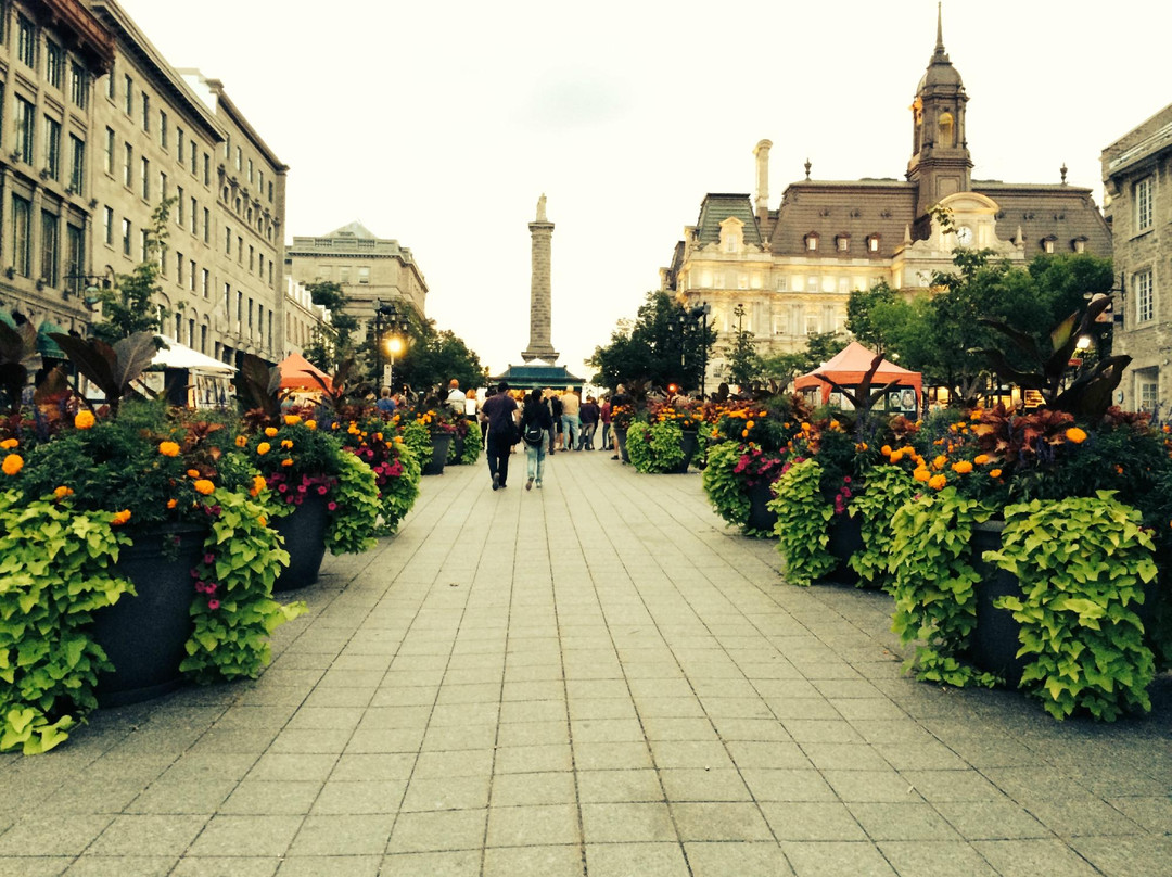 Place Jacques-Cartier-蒙特利尔必去景点