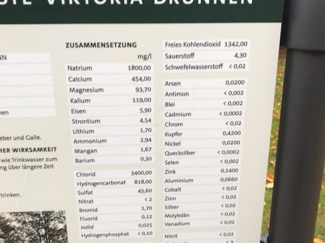 Auguste-Viktoria-Brunnen-巴特洪堡必去景点