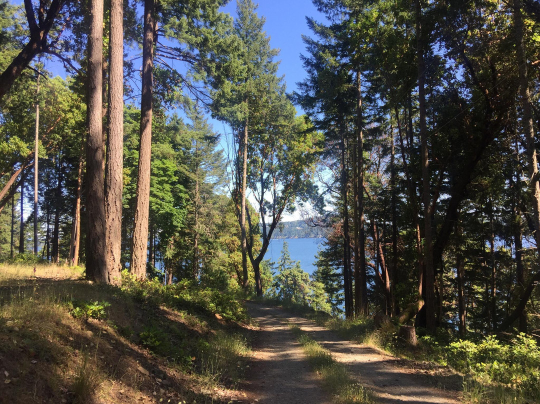 Mount Tuam Ecological Reserve景点图片
