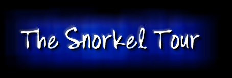 The Snorkel Tour景点图片