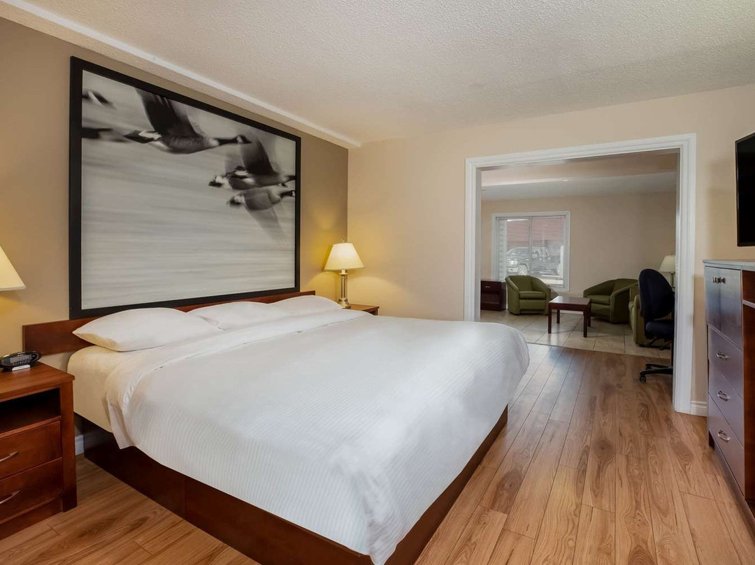 Super 8 by Wyndham Smoky Lake主图