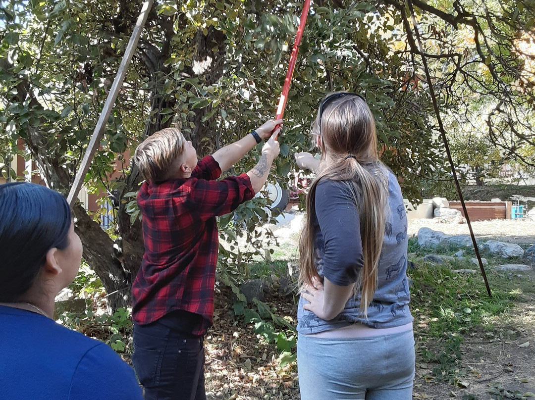 Willowbrook Farm-Oak Glen必去景点
