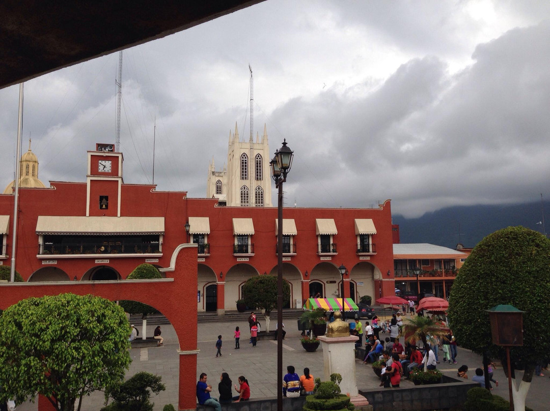 Zocalo Xicotepec景点图片
