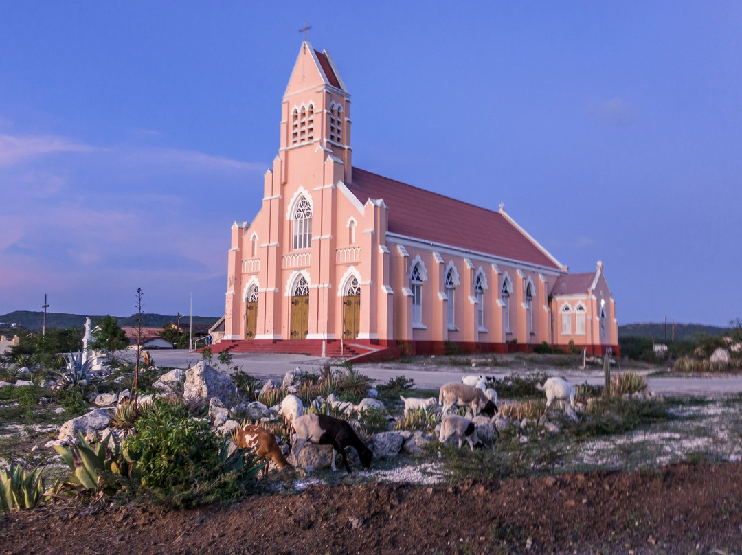 Church of Sint Willibrordus景点图片