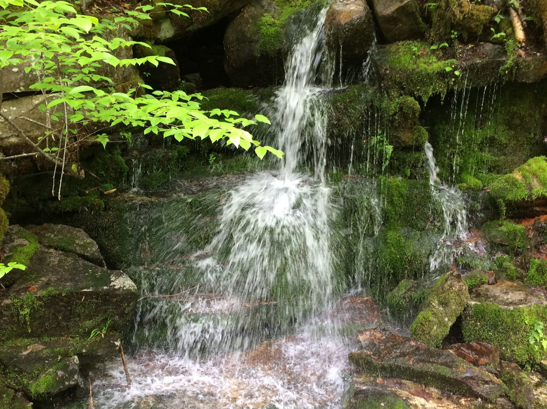 Presidential Rail Trail