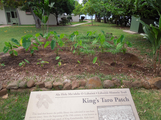 Lahaina Historic Trail