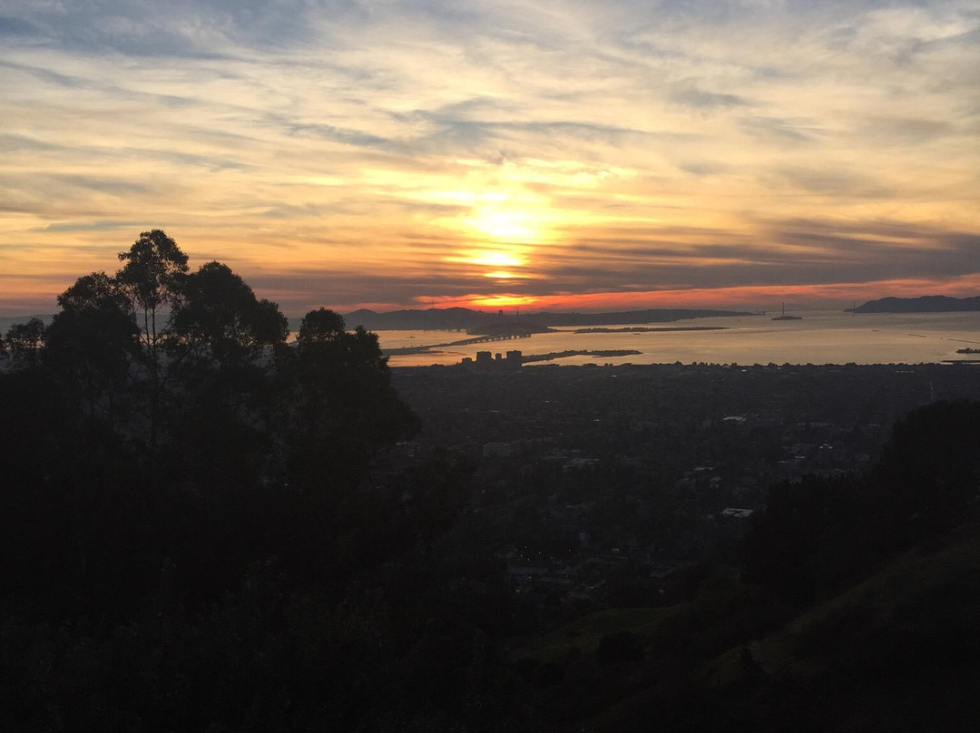 Panoramic Hill-伯克利必去景点