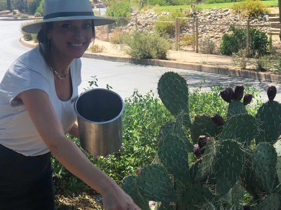 Sonoran Explorin Tours-凯尔福利必去景点