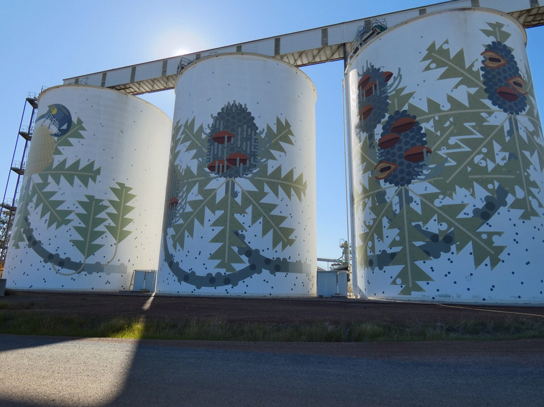 Ravensthorpe Silo Art-Ravensthorpe必去景点