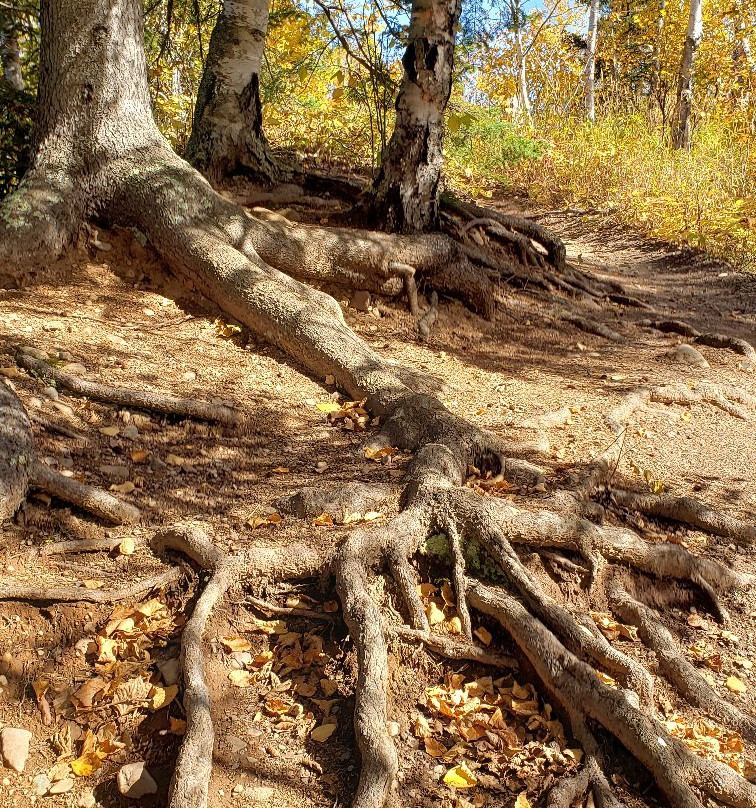 Caribou River-Beaver Bay必去景点