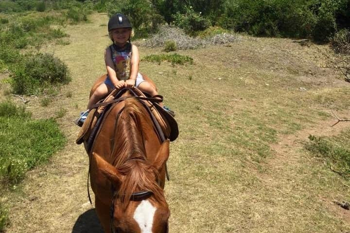 K-Rides Equine Education And Energy Centre景点图片