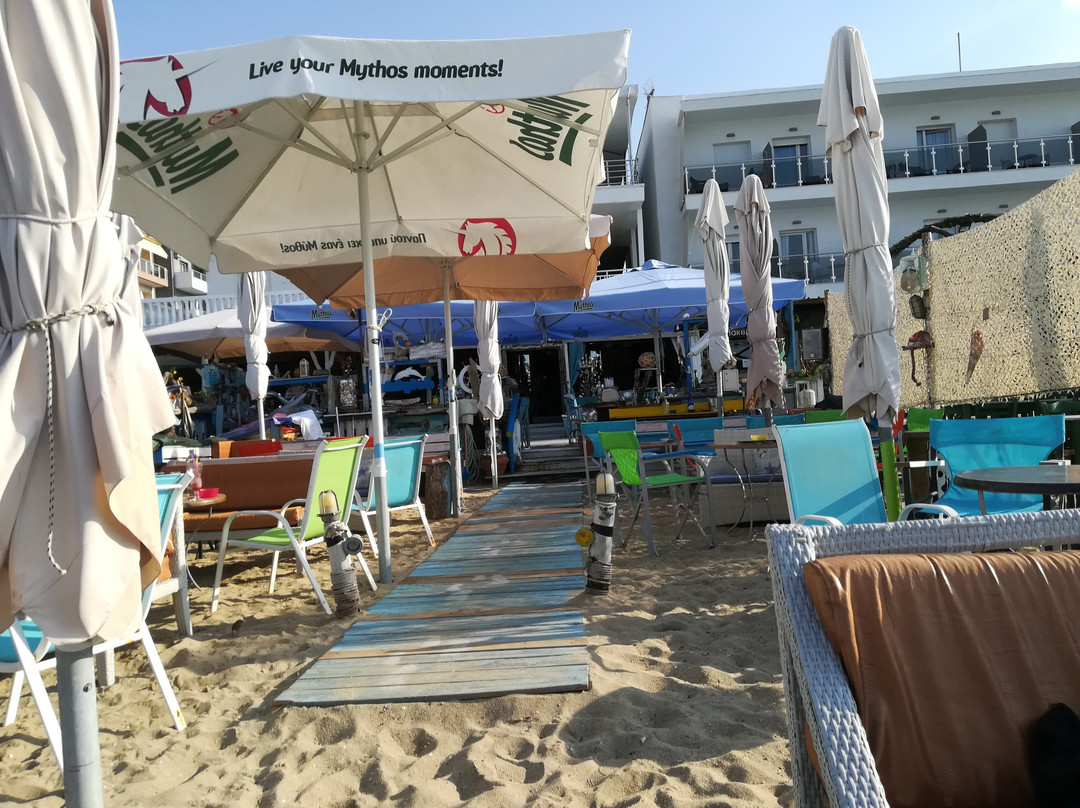 Dolphin Cafe Bar